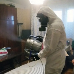 Дезинфекция от клопов в Кузнецке